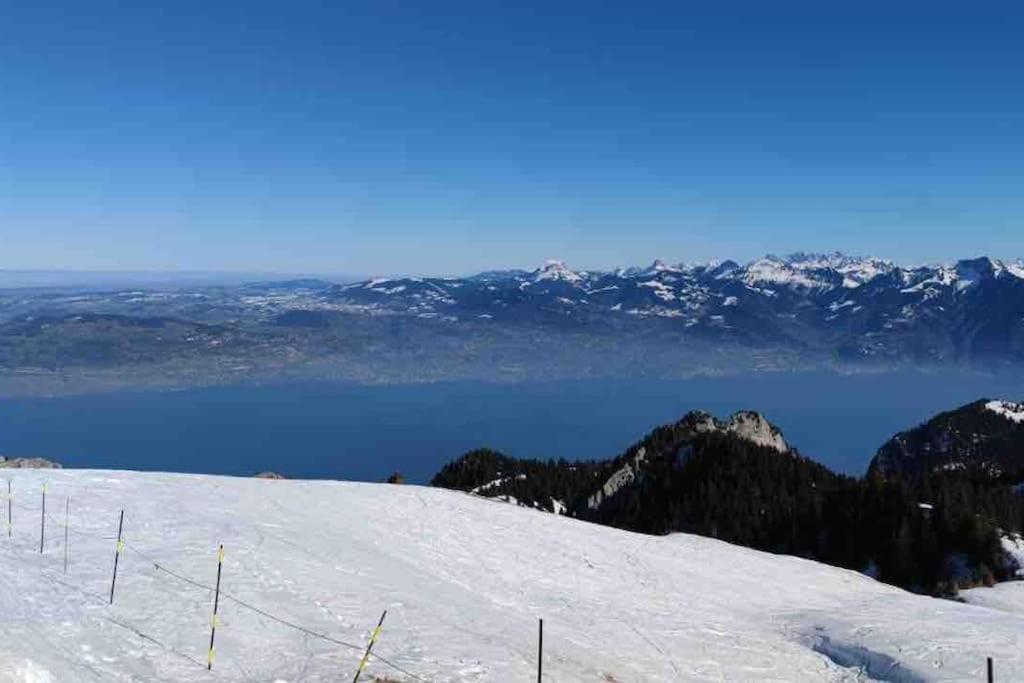 Studio Myrtilles Du Leman Vue Sur Lac Et Montagne Thollon-les-Memises Buitenkant foto