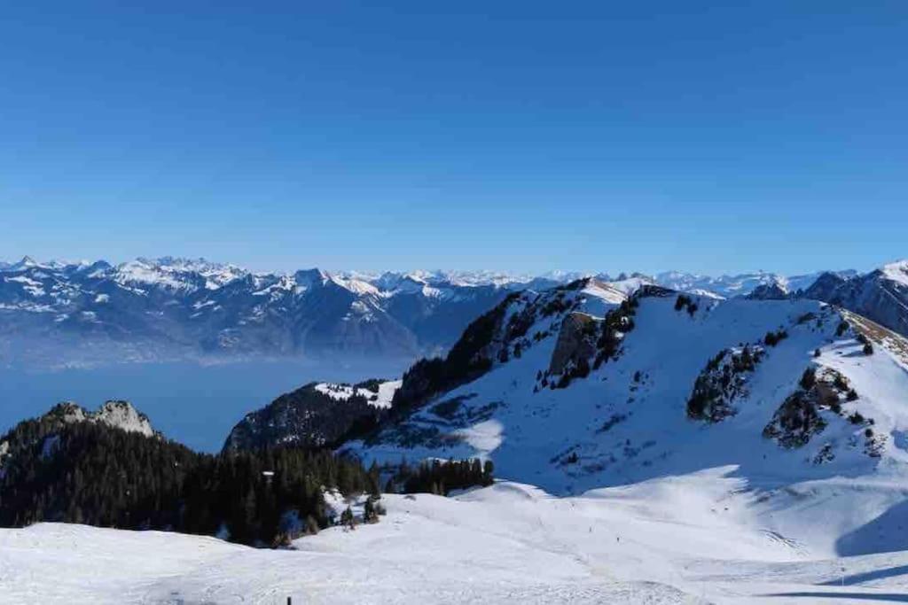 Studio Myrtilles Du Leman Vue Sur Lac Et Montagne Thollon-les-Memises Buitenkant foto