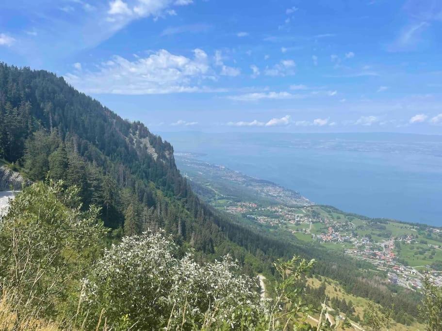 Studio Myrtilles Du Leman Vue Sur Lac Et Montagne Thollon-les-Memises Buitenkant foto